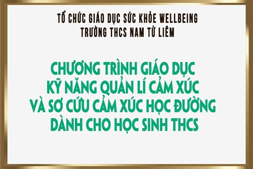 Chương trình giáo dục kỹ năng quản lý cảm xúc và sơ cứu cảm xúc học đường dành cho học sinh THCS