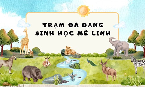 Một ngày Trải nghiệm thực tế tại Trạm Đa dạng sinh học Mê Linh của học sinh Nam Từ Liêm